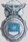 early air police badge